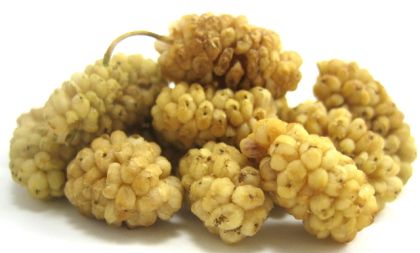 White mulberry