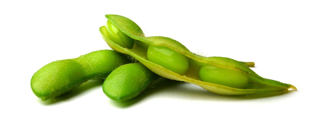 Frozen edamame